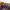 Vintage Streetwear Hat Pria purple yellow photo 5