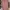 Luxury Midi dress Wanita pink photo 1