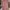 Luxury Midi Dress Wanita Pink