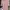 Casual Muslim Midi dress Wanita pink photo 1