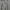 Yohji Yamamoto Vintage Casual Formal pants Pria gray photo 3