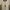 Maison MIHARA YASUHIRO Y2K Avant Garde Bomber jacket Pria green tan photo 4