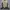 Maison MIHARA YASUHIRO Y2K Avant Garde Bomber jacket Pria green tan photo 1