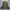 Maison MIHARA YASUHIRO Y2K Avant Garde Bomber jacket Pria green tan photo 5