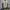 Maison MIHARA YASUHIRO Y2K Avant Garde Bomber jacket Pria green tan photo 2