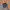 Streetwear Sportswear Pria navy photo 3