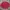 Burberry Vintage Y2K Formal shirt Pria red photo 1