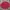 Burberry Vintage Y2K Formal Shirt Pria Red