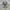 Pendleton Streetwear Casual Track jacket Pria cream photo 3
