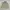 Pendleton Streetwear Casual Track Jacket Pria Cream