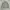 Pendleton Streetwear Casual Track Jacket Pria Cream