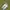 EDWIN Vintage Streetwear Pria blue photo 1