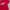 Piko Sports Vintage Y2K T-shirt Pria red photo 2
