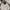 Casual Harrington jacket Pria white black photo 1