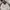 Casual Harrington Jacket Pria White Black