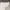 Shein Y2K Coquette Skirt Wanita white photo 1