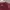Under Armour Sportswear Jersey Pria burgundy photo 3