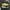 Adidas Casual Sneakers Pria yellow photo 1
