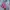 Tommy Hilfiger Streetwear Y2K Hoody Pria blue photo 6
