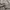 WHO.A.U Casual Hoody Pria gray photo 4