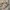 Japanese brand Streetwear Casual Sweater Pria tan photo 3