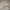 Japanese brand Streetwear Casual Sweater Pria tan photo 1