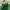 Millet Sportswear Jersey Pria green photo 4