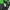 Millet Sportswear Jersey Pria green photo 6