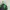 Millet Sportswear Jersey Pria green photo 1