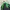 Millet Sportswear Jersey Pria green photo 3
