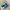 Nike Streetwear Sneakers Kids blue photo 5