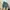 Nike Streetwear Sneakers Kids blue photo 6