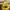 MLB Streetwear Sportswear Hat Pria yellow photo 2