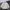 Vintage Sportswear Puffer jacket Pria white cream photo 3