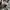 Oakley Streetwear Y2K Bag Pria multicolor photo 7