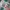 Japanese brand Vintage Y2K Pria white pink photo 4