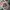 Japanese brand Vintage Y2K Pria white pink photo 3