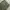 Japanese brand Streetwear Casual Pria green photo 6