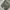 Japanese brand Streetwear Casual Pria green photo 7