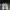 Adidas Y2K Skater Sneakers Pria white black photo 2