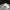 Adidas Y2K Skater Sneakers Pria white black photo 1