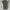 Issey Miyake Vintage Avant Garde Wanita white black photo 2