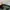 Arc'teryx Gorpcore Casual Tracksuit Pria green photo 6