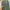 Arc'teryx Gorpcore Casual Tracksuit Pria green photo 4