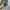 Arc'teryx Gorpcore Casual Tracksuit Pria green photo 5