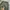 Arc'teryx Gorpcore Casual Tracksuit Pria green photo 8