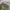 Arc'teryx Gorpcore Casual Tracksuit Pria green photo 7