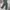 Arc'teryx Gorpcore Casual Tracksuit Pria green photo 1