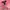 GAP Streetwear Sneakers Pria pink photo 4