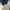 GAP Casual Bomber jacket Pria navy photo 3
